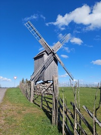 Angla Lause pukktuulik