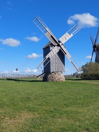 Angla Reinu pukktuulik