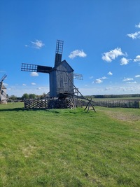 Angla Viite pukktuulik