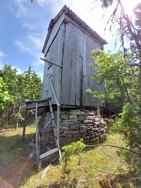 Atla pukktuulik Saaremaal