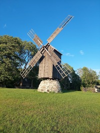 Kalli pukktuulik Saaremaal