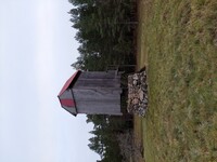 Kiirassaare pukktuulik