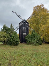 Kiviküla pukktuulik