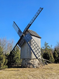 Koguva Andruse pukktuulik