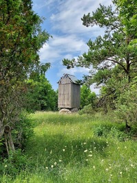 Koguva Sumari pukktuulik