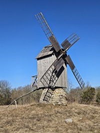 Koguva Tooma pukktuulik