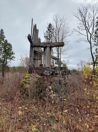 Liigalaskma Sassi pukktuulik