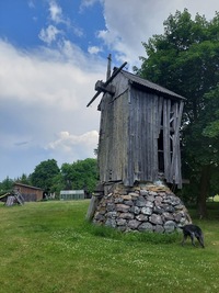 Linnuse Aadu pukktuulik