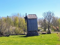 Metsküla pukktuulik