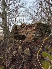 Mustapali tuuleveski