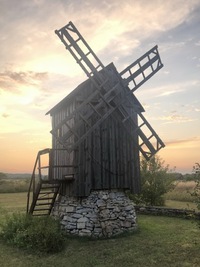 Mustjala Kullerkupu pukktuulik