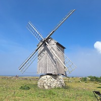 Ohessaare Panga pukktuulik