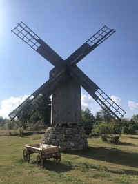 Saareküla Korrida pukktuulik