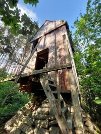 Tiirimetsa pukktuulik