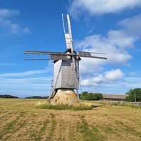 Vilsandi Kaheveski pukktuulik