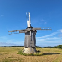 Vilsandi Sülla Kusta-Ingli pukktuulik