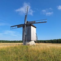 Vilsandi Tolli pukktuulik