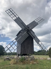 Viltina Villemi pukktuulik