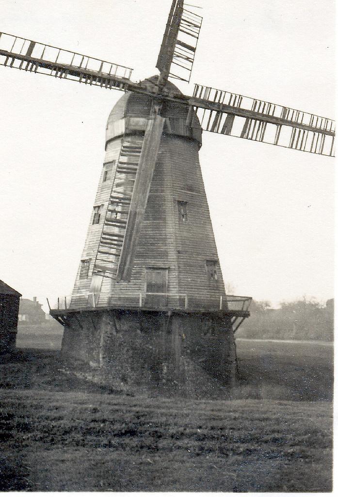 Mill ID 2667