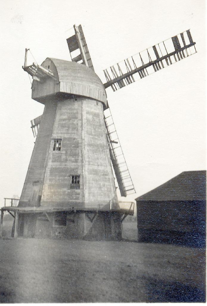 Mill ID 2667