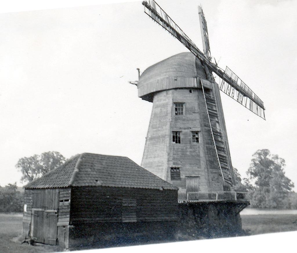 Mill ID 2667