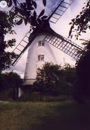 Mill ID 1238